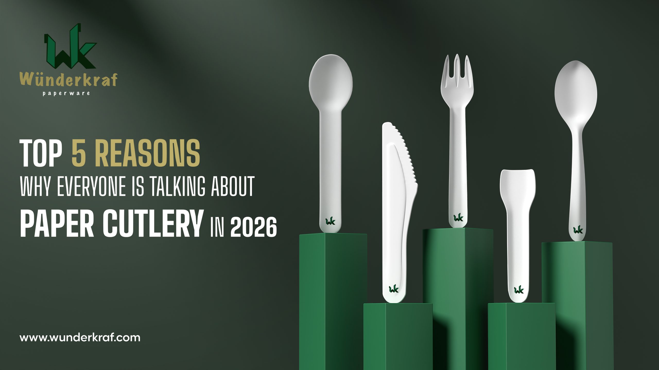Top 5 Reasons Why Everyone Is Talking About Paper Cutlery in 2026